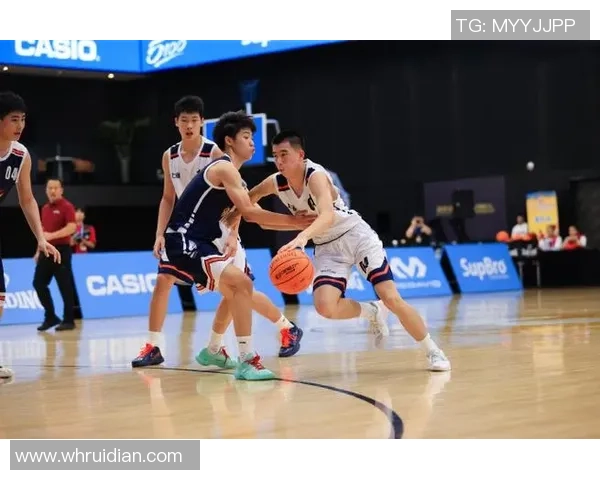 上海篮球队实力大提升引发热议球迷期待新赛季精彩表现